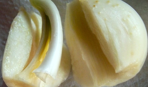 Bagna cauda