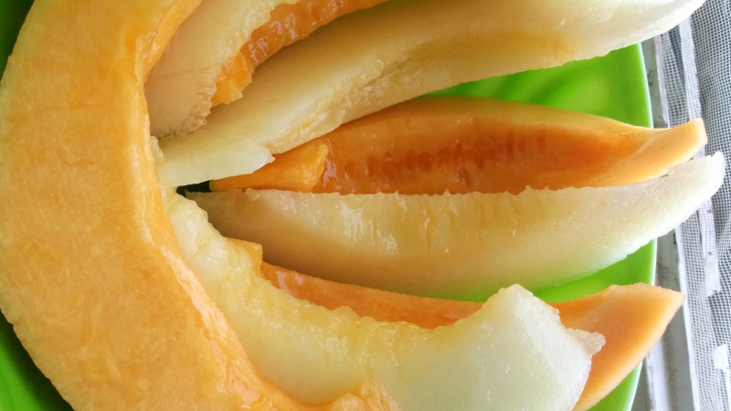 melone nutrizione
