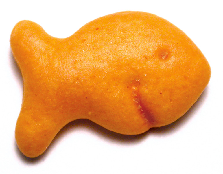 cracker pesciolino