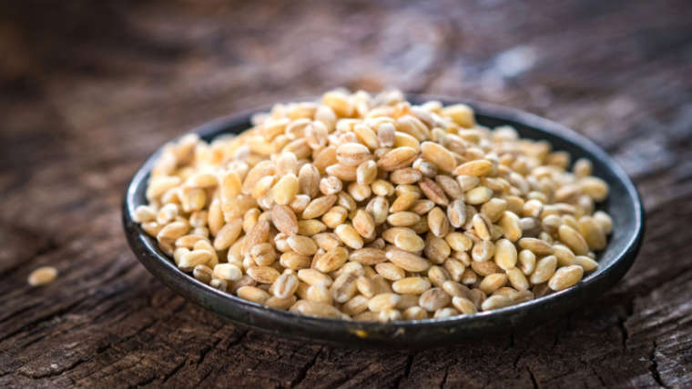 orzo