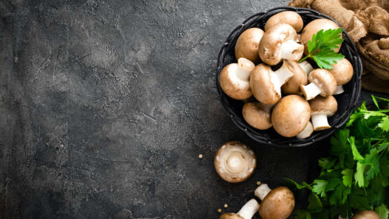funghi